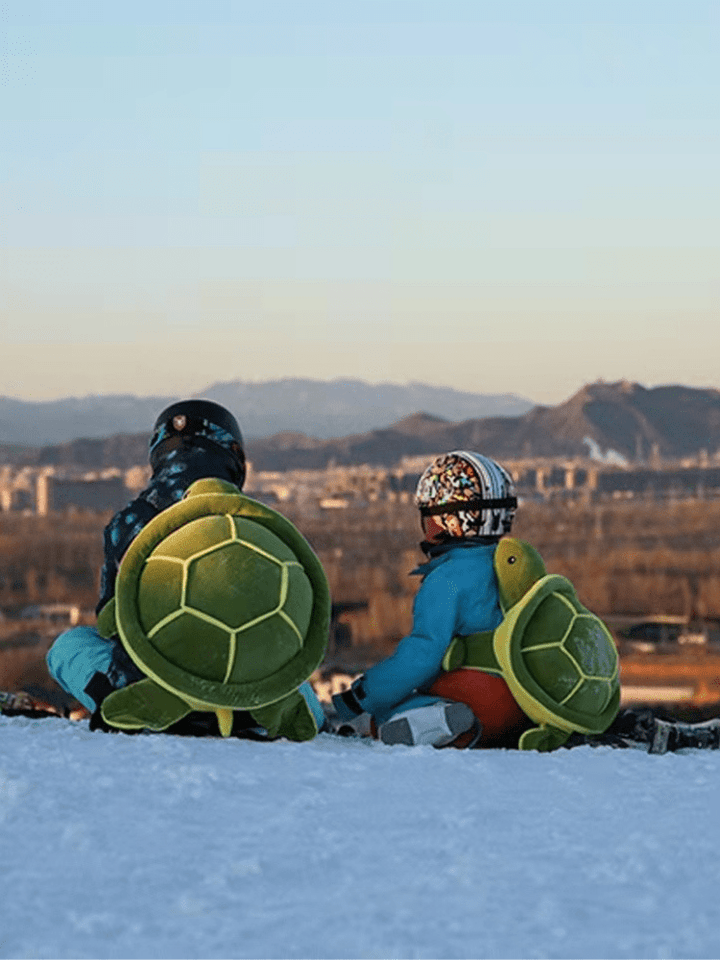 Unisex Cute Tortoise Hip & Knee Pads Set - Snowears-snowboarding skiing jacket pants accessories